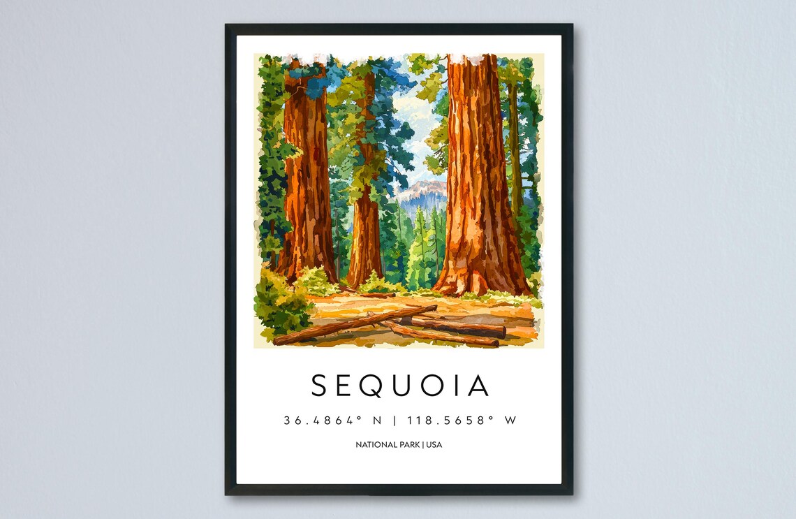 Sequoia Watercolor National Park Giant Trees Forest Travel Poster