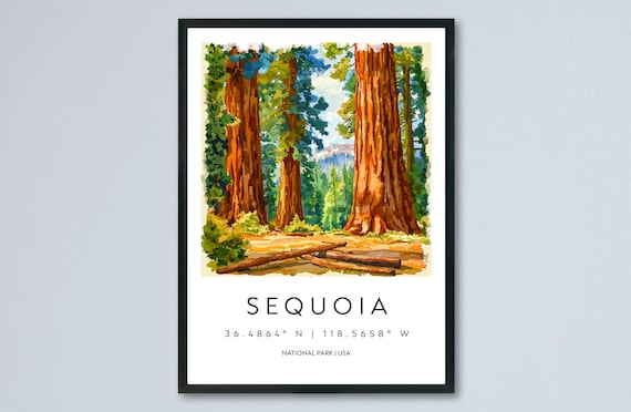 Sequoia Watercolor National Park Giant Trees Forest Travel Poster