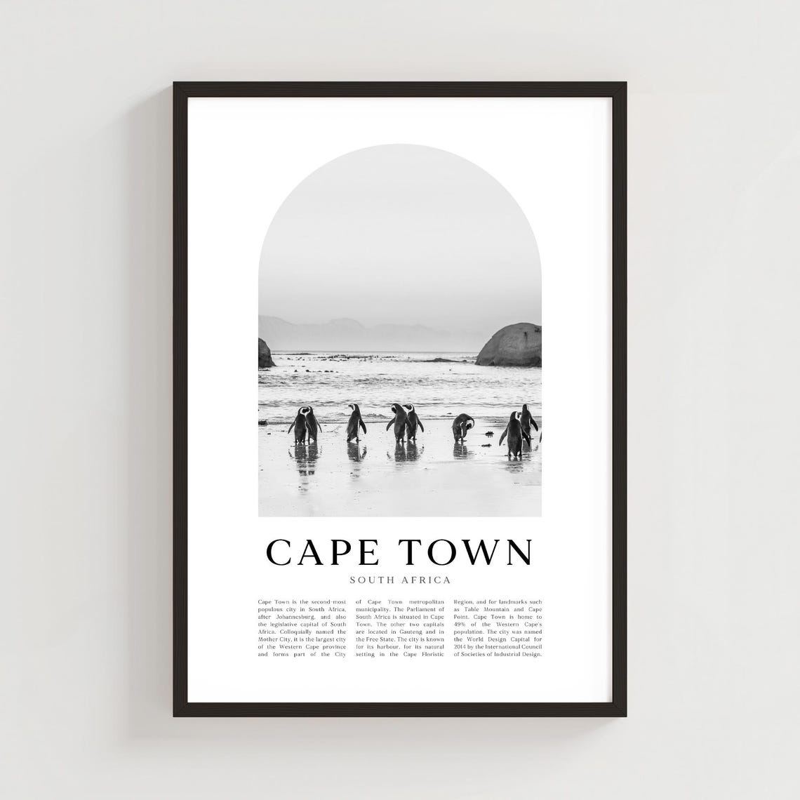 Cape Town South Africa Penguins Beach Black White Minimalist Poster