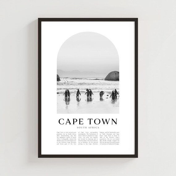 Cape Town South Africa Penguins Beach Black White Minimalist Poster