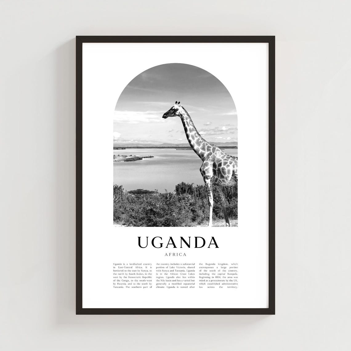 Uganda Africa Black And White Giraffe Lakeside Photo Travel Poster