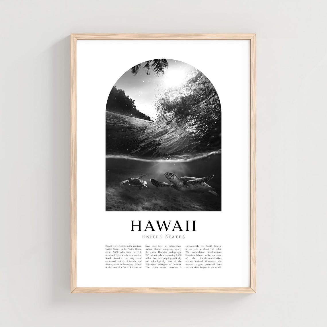 Hawaii Sea Turtles Ocean Wave Black and White Photography Poster