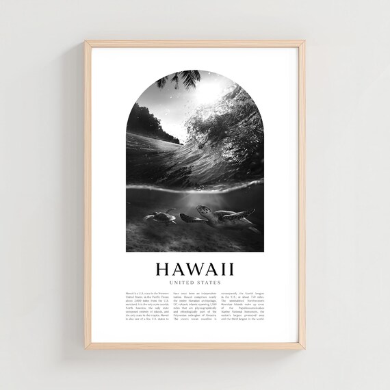 Hawaii Sea Turtles Ocean Wave Black and White Photography Poster
