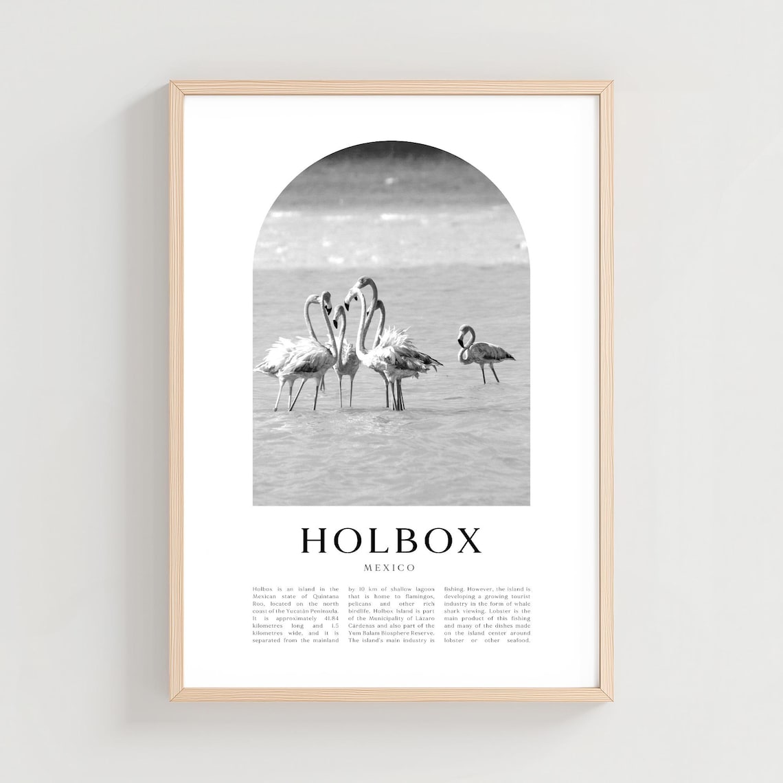 Holbox Mexico Flamingos in Lagoon Black and White Arch Photo Poster