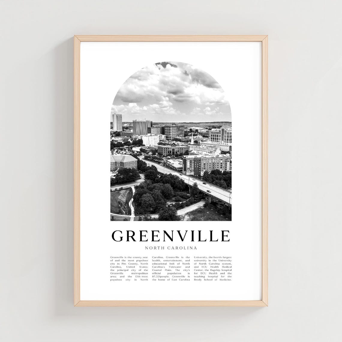 Greenville North Carolina Aerial Cityscape Black White Photo Poster