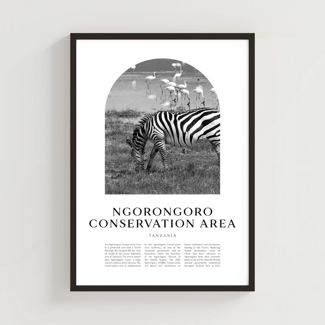 Ngorongoro Conservation Area Zebra Safari Black and White Arch Poster