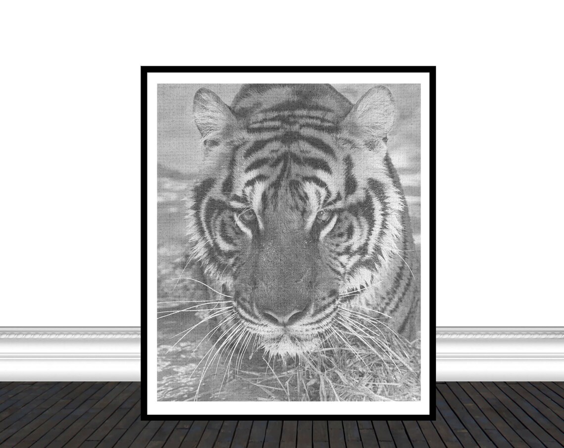 Black And White Tiger Face Close Up Monochrome Photography Art Print