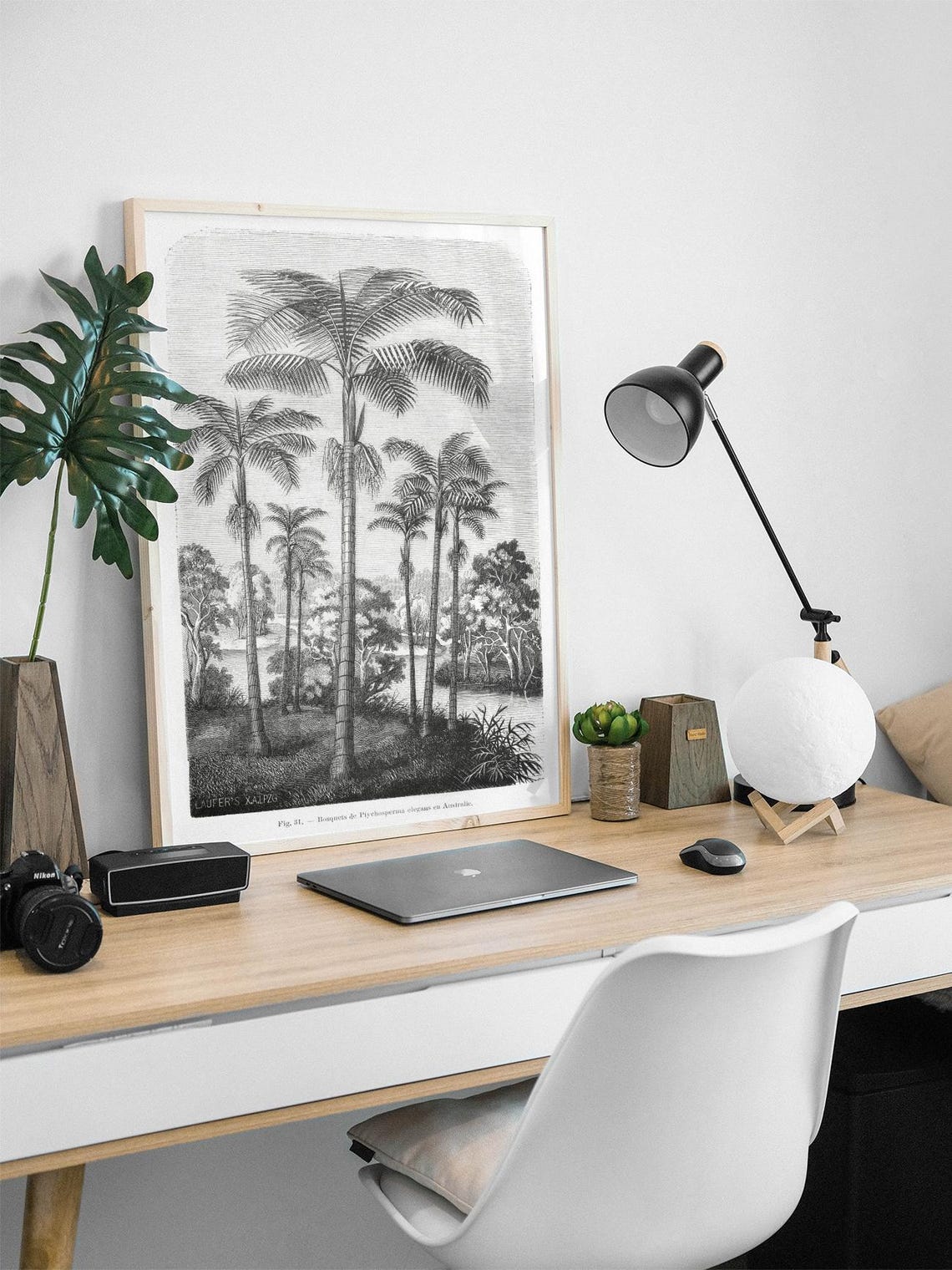 Vintage Palm Tree Engraving Botanical Black White Nature Poster - Image 2