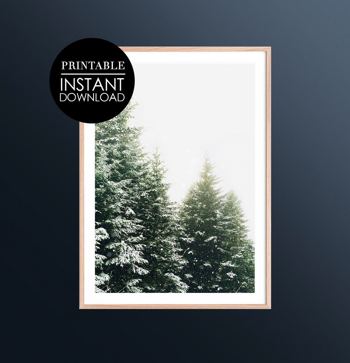Snowy Pine Trees Winter Evergreen Forest Scene Photography Poster