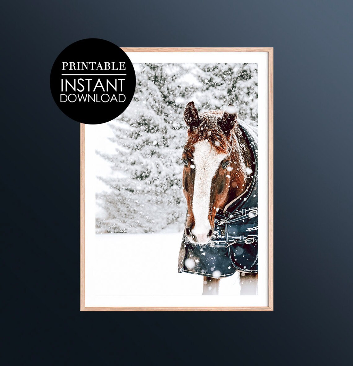 Brown Horse in Falling Snow Winter Wildlife Photo Scene Poster
