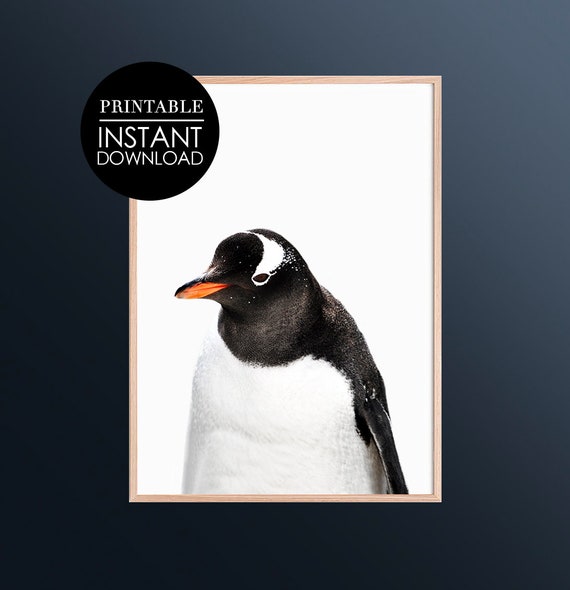 Penguin Print Antarctic Black White Wall Art Nursery Bird