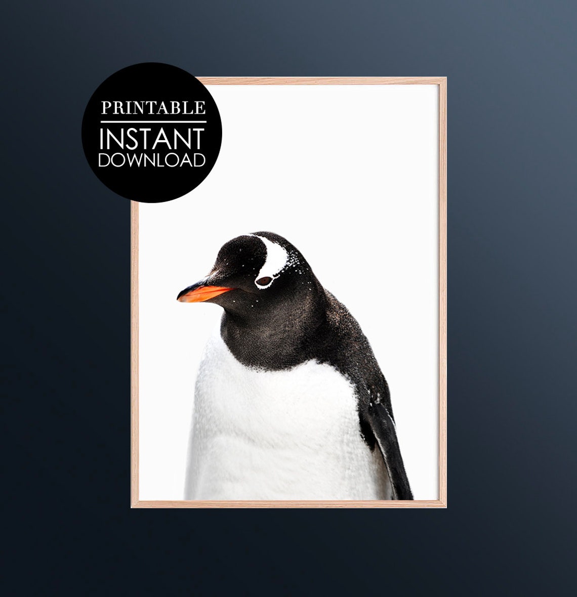 Penguin Print Antarctic Black White Wall Art Nursery Bird