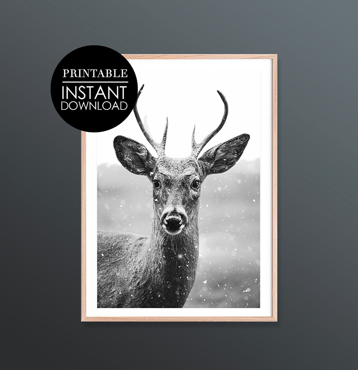 Black and White Deer in Falling Snow Winter Photography Poster