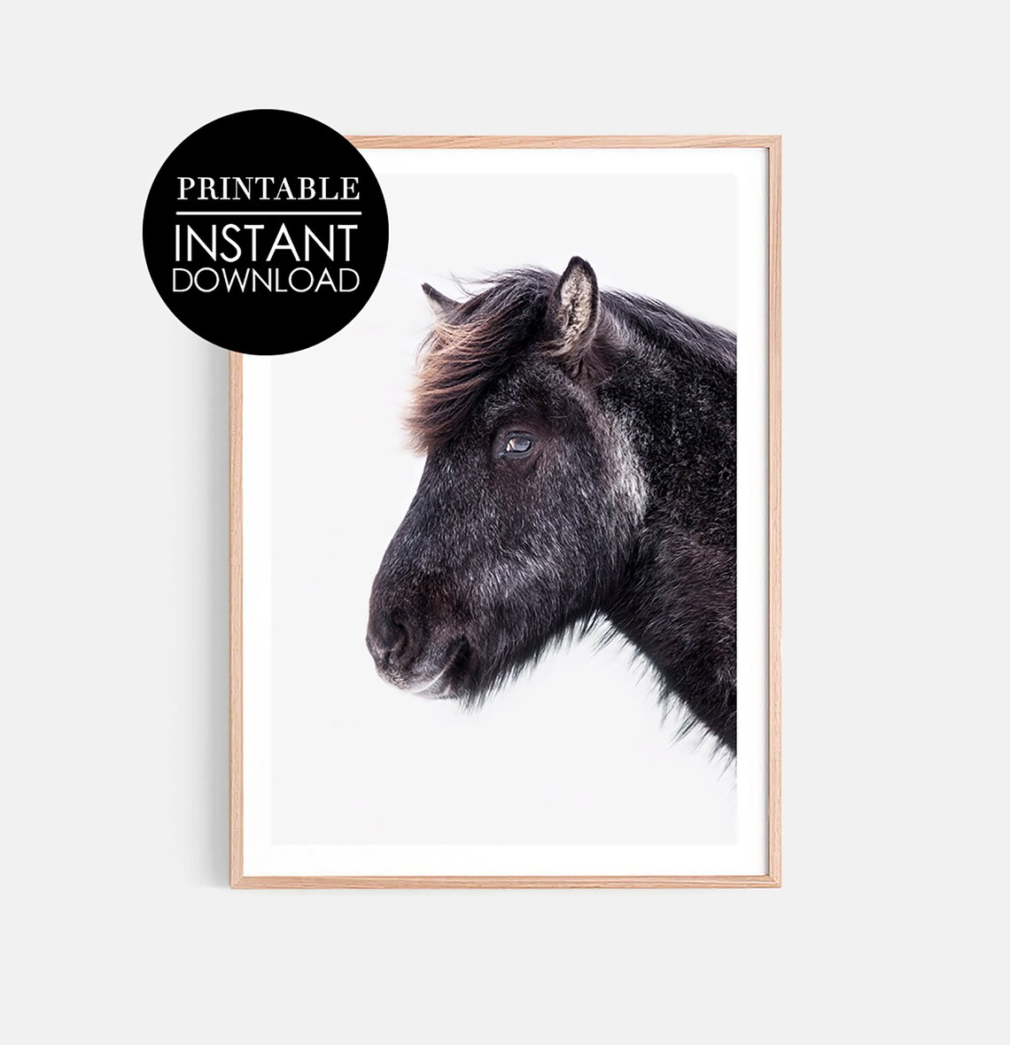 Black Horse Profile Portrait Minimalist Animal Photography Wall Art