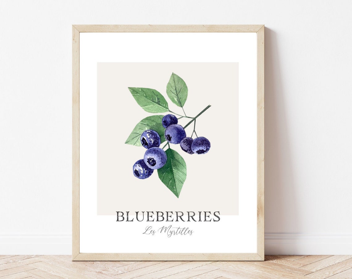 Watercolor Blueberries Botanical Print Minimal Purple Kitchen Wall Art