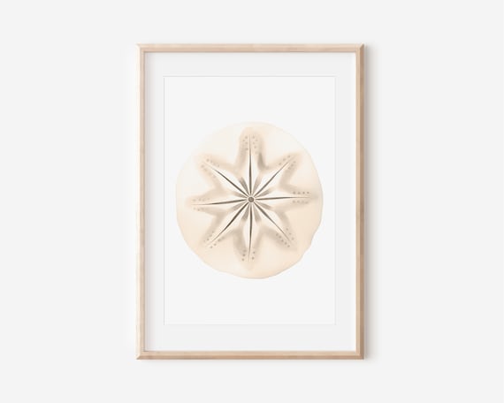 Beige Sand Dollar Watercolor Minimalist Neutral Coastal Wall Art Print Poster