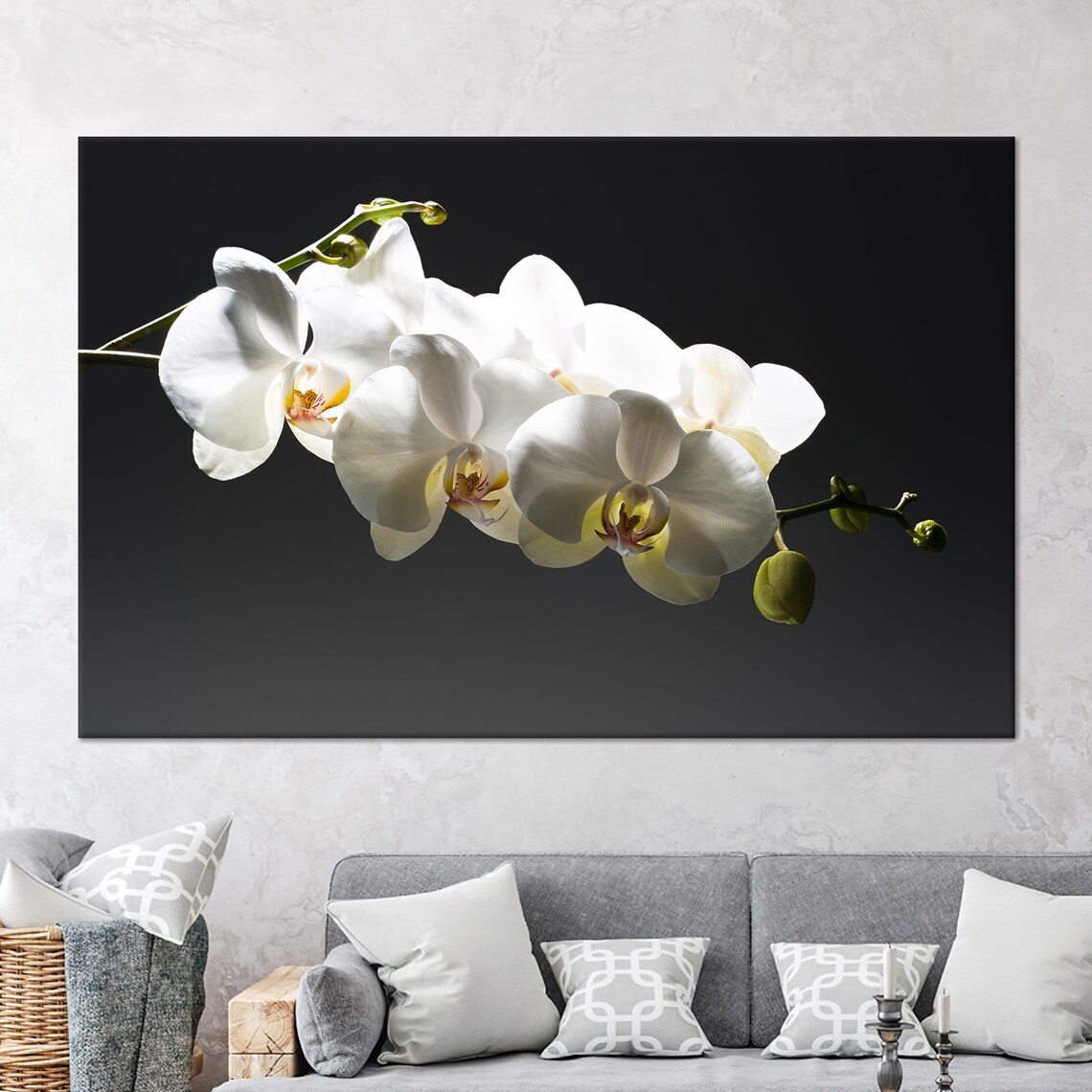 Orchid Floral Poster Print for Living Room Decor