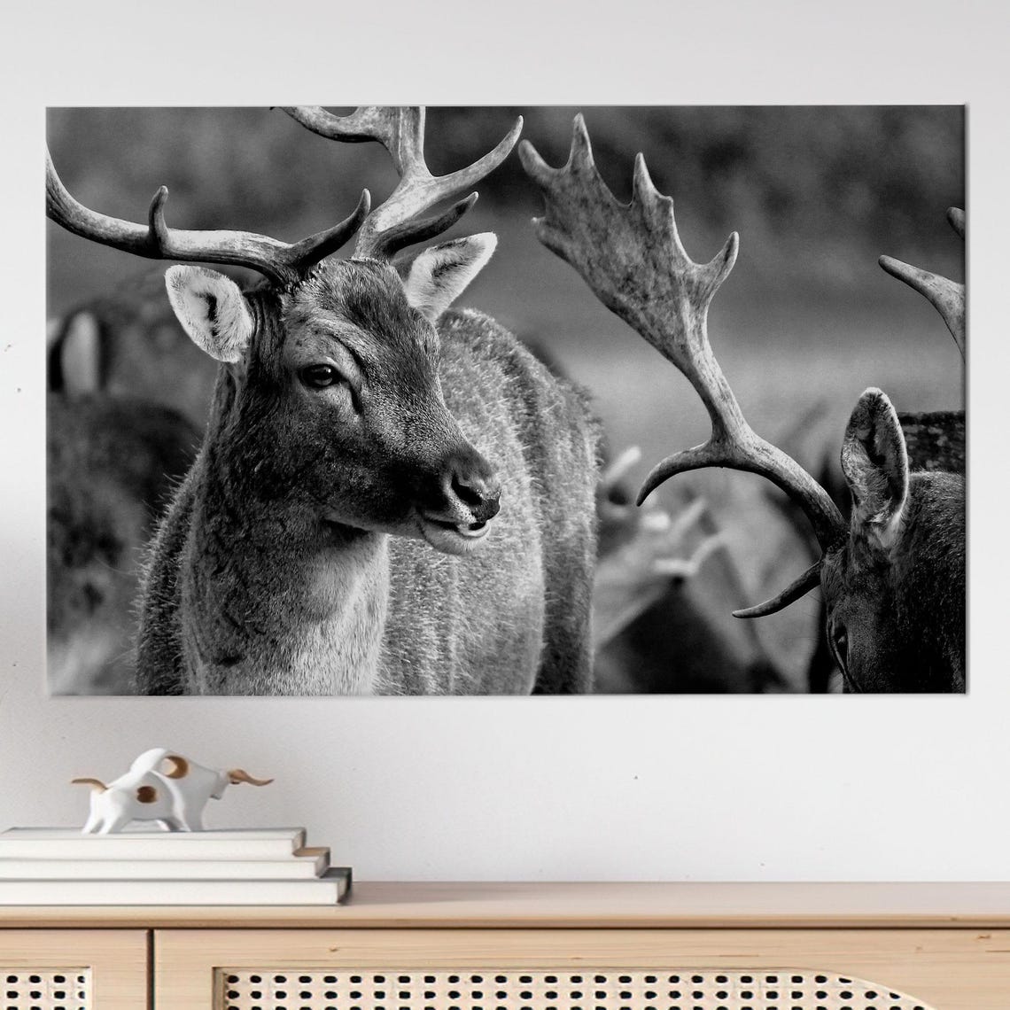 Black And White Fallow Deer Stag Close Up Wildlife Portrait Poster