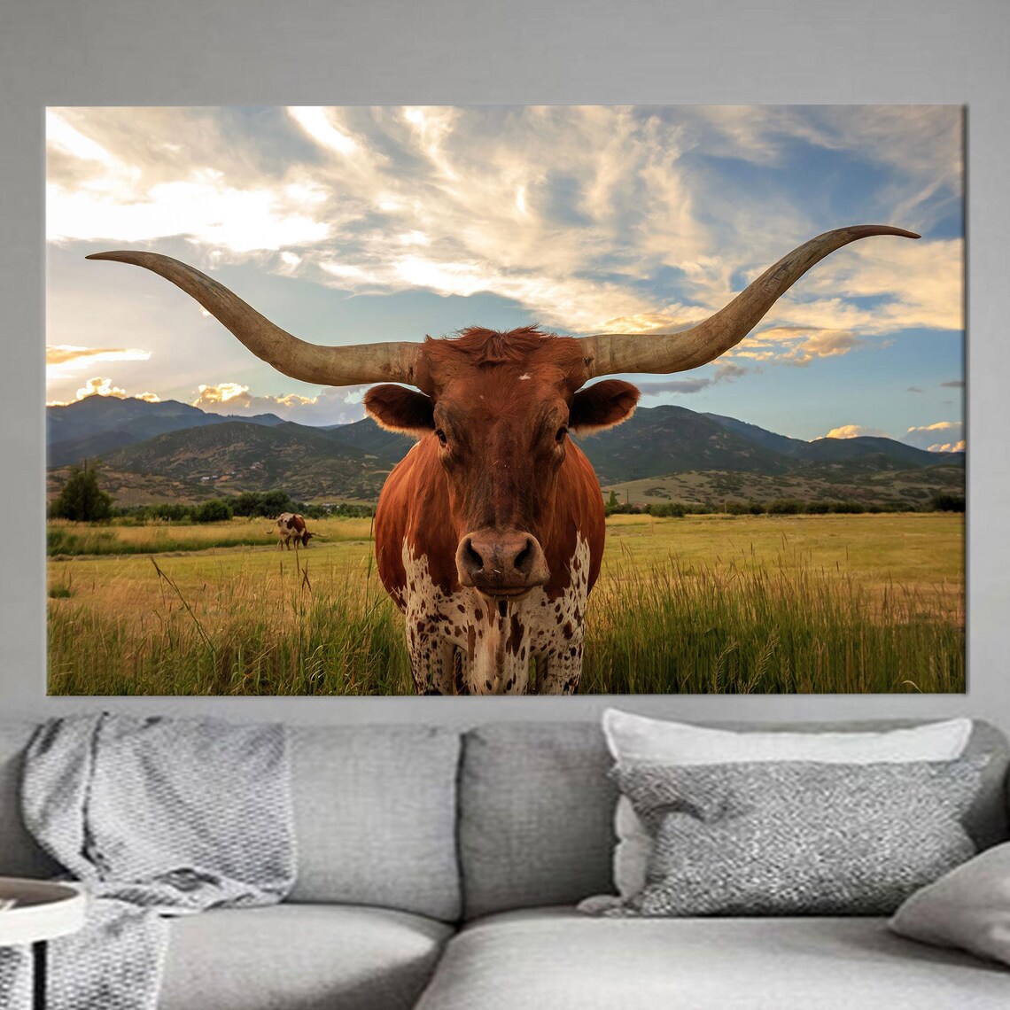 Texas Longhorn Cow Staring Forward In Golden Sunset Field Poster