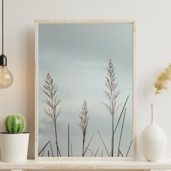 Din A4 Art Print Without Frame Grasses In Front Of Sky Grass Nature Photo Print Poster Image