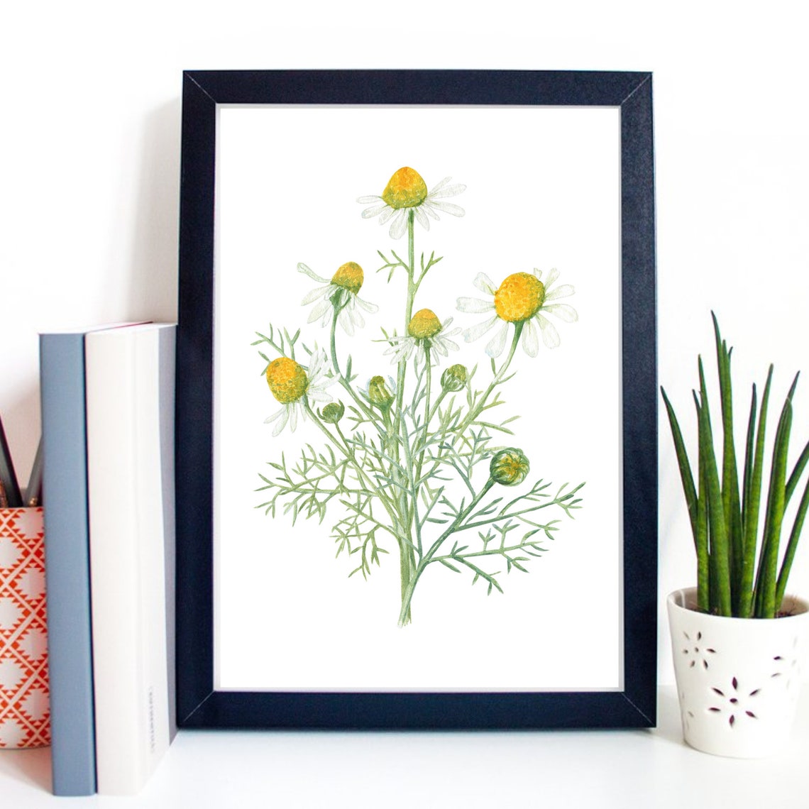 Chamomile Flowers Watercolor Botanical Illustration Nature Poster - Image 3