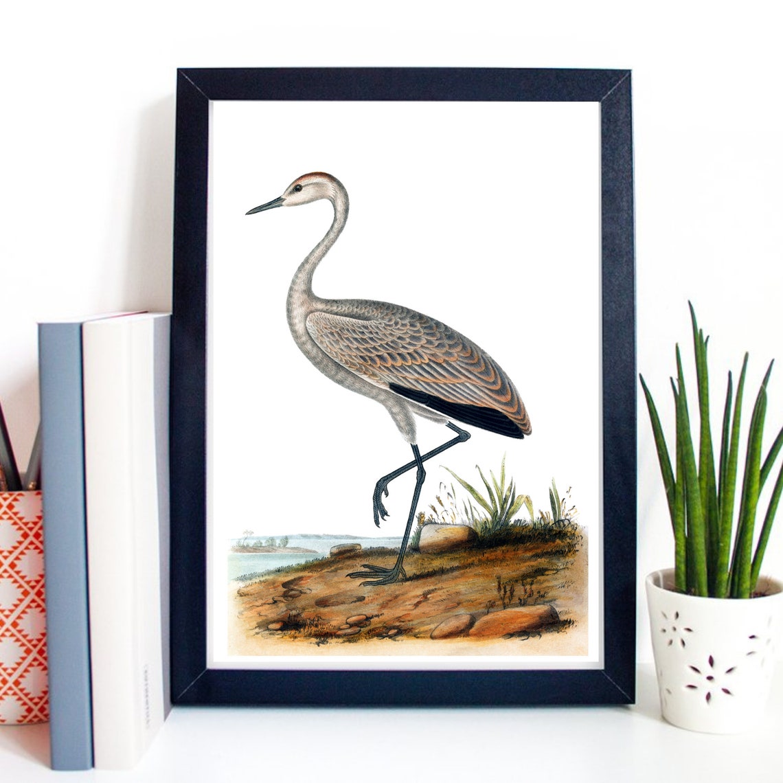 Vintage Crane Heron Water Bird Natural History Engraving Art Print