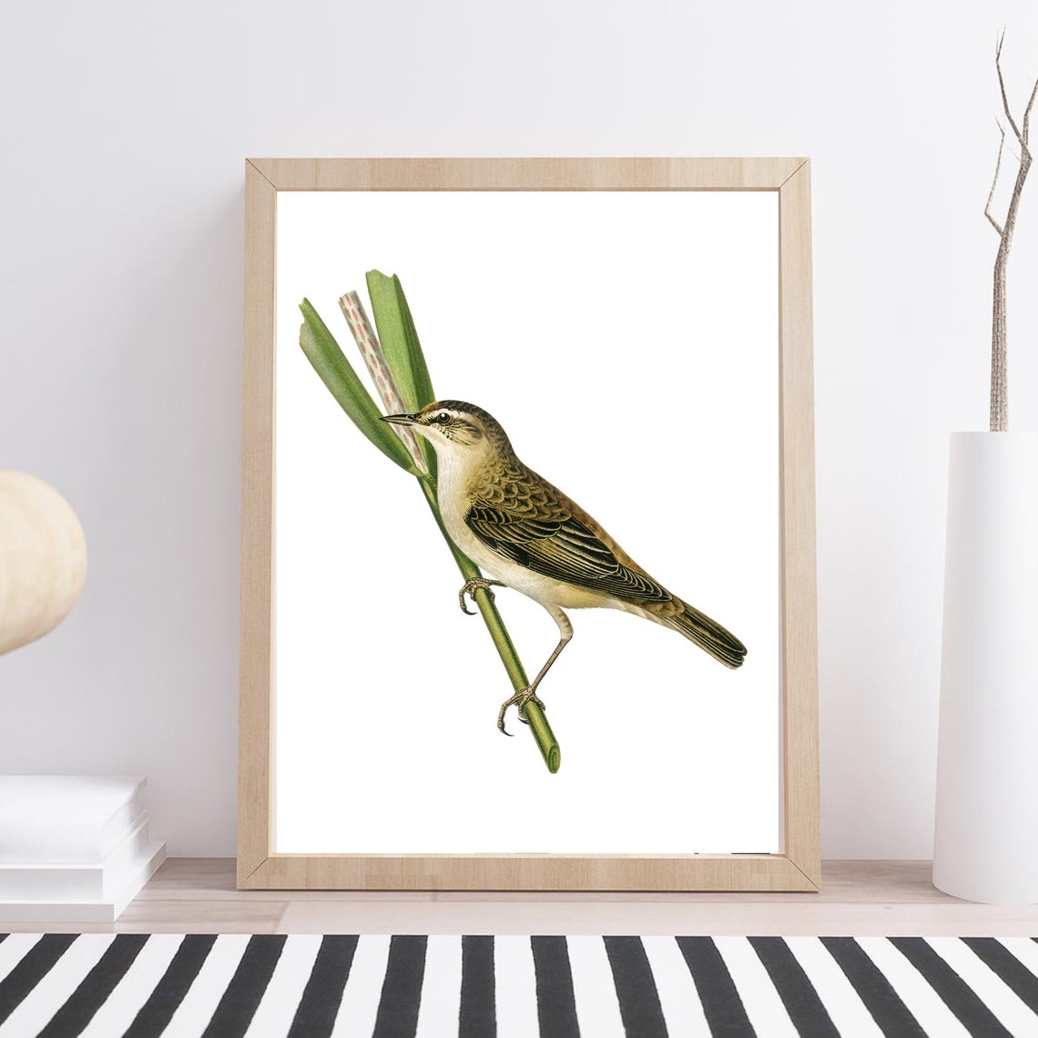 Reed Warbler Perched on Reed Vintage Bird Illustration Art Print - Image 3
