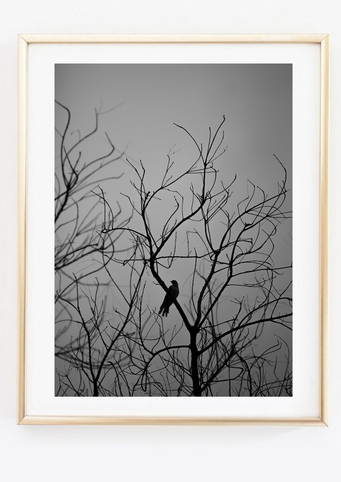 Bird On Bare Branches Black White Moody Misty Nature Photo Art Poster - Image 2