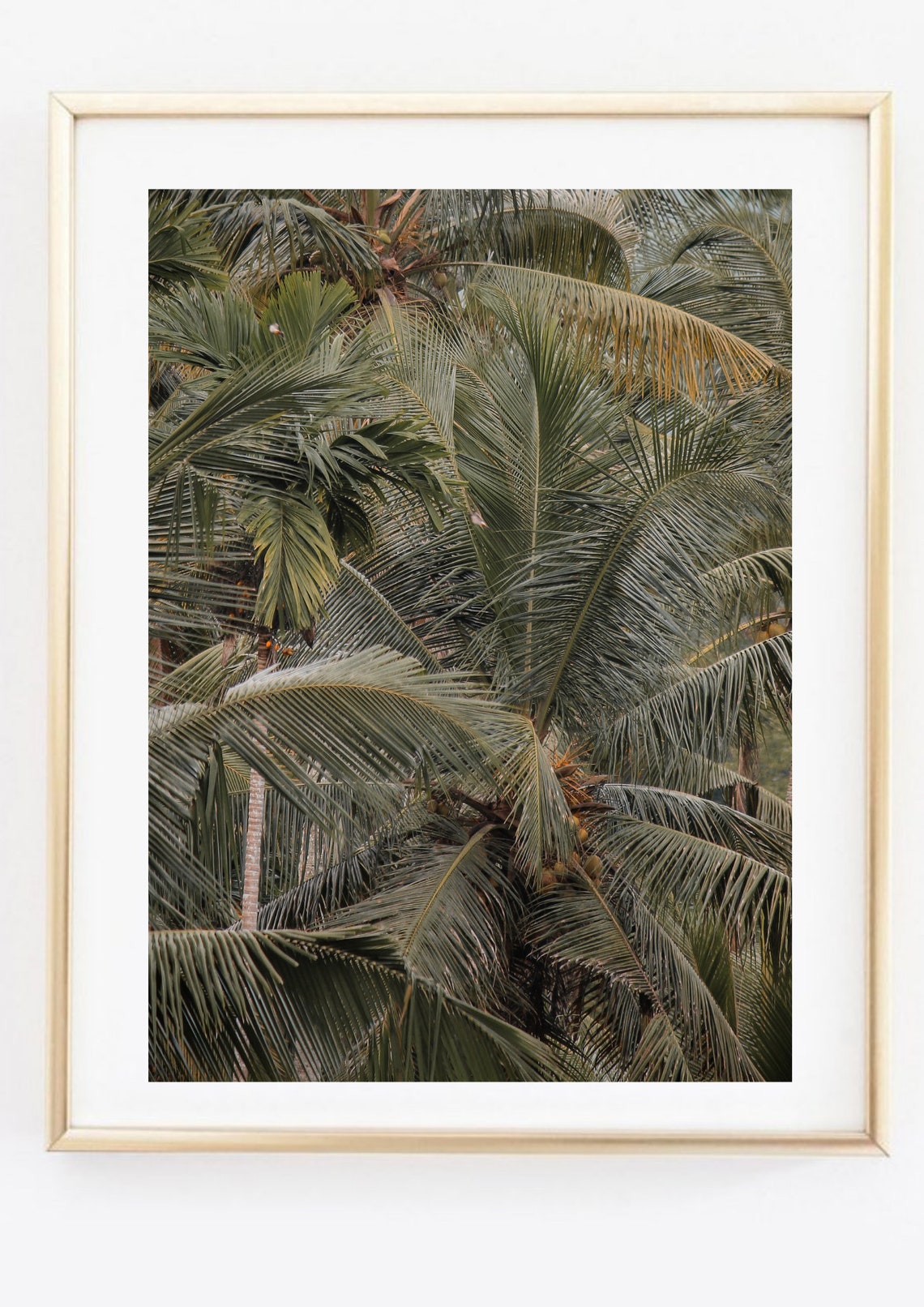Lush Green Tropical Palm Tree Canopy Jungle Photography Wall Poster