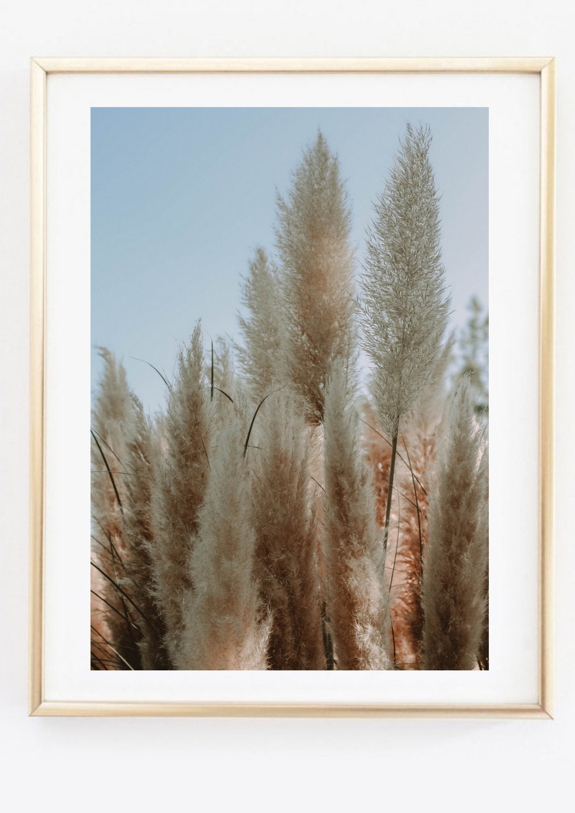 Pampas Grass Plumes Against Blue Sky Boho Nature Photo Print - Image 2