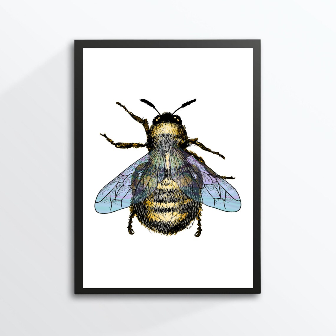 Bumblebee Bee Nature Insect Drawing, Poster