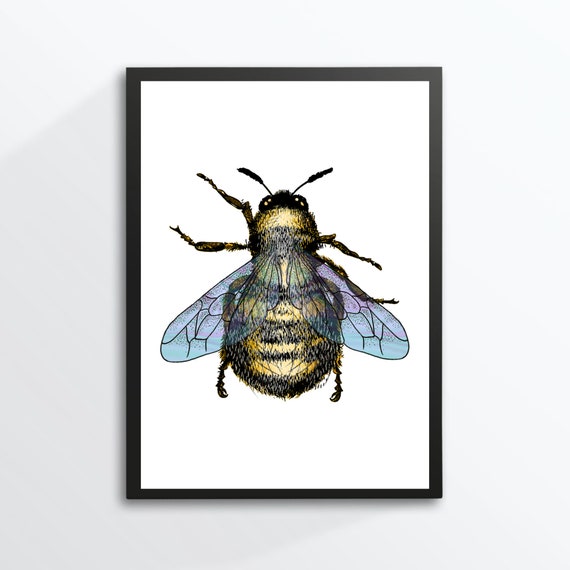 Bumblebee Bee Nature Insect Drawing, Poster