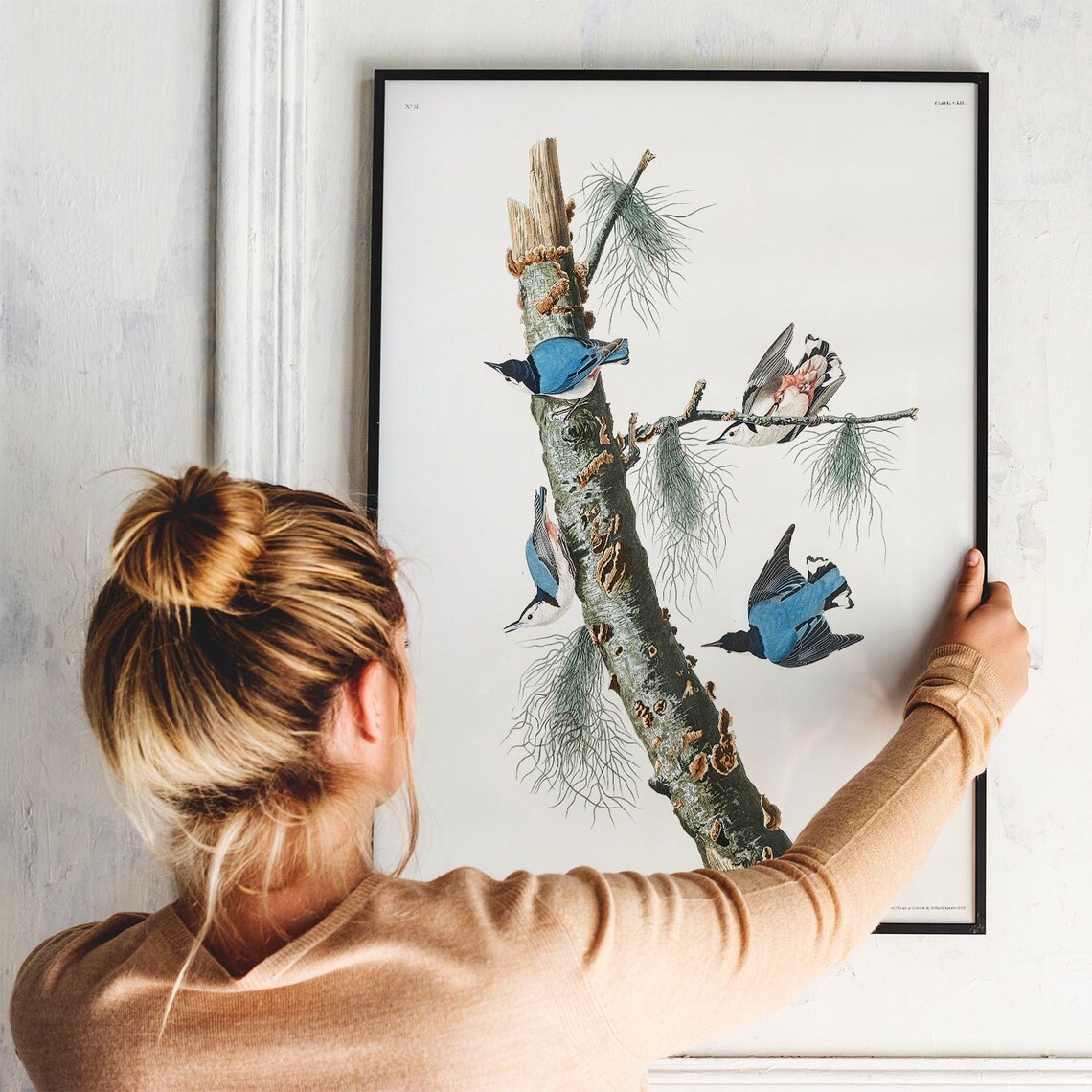 Nuthatch Antique Bird Painting Vintage Art Print - Image 3