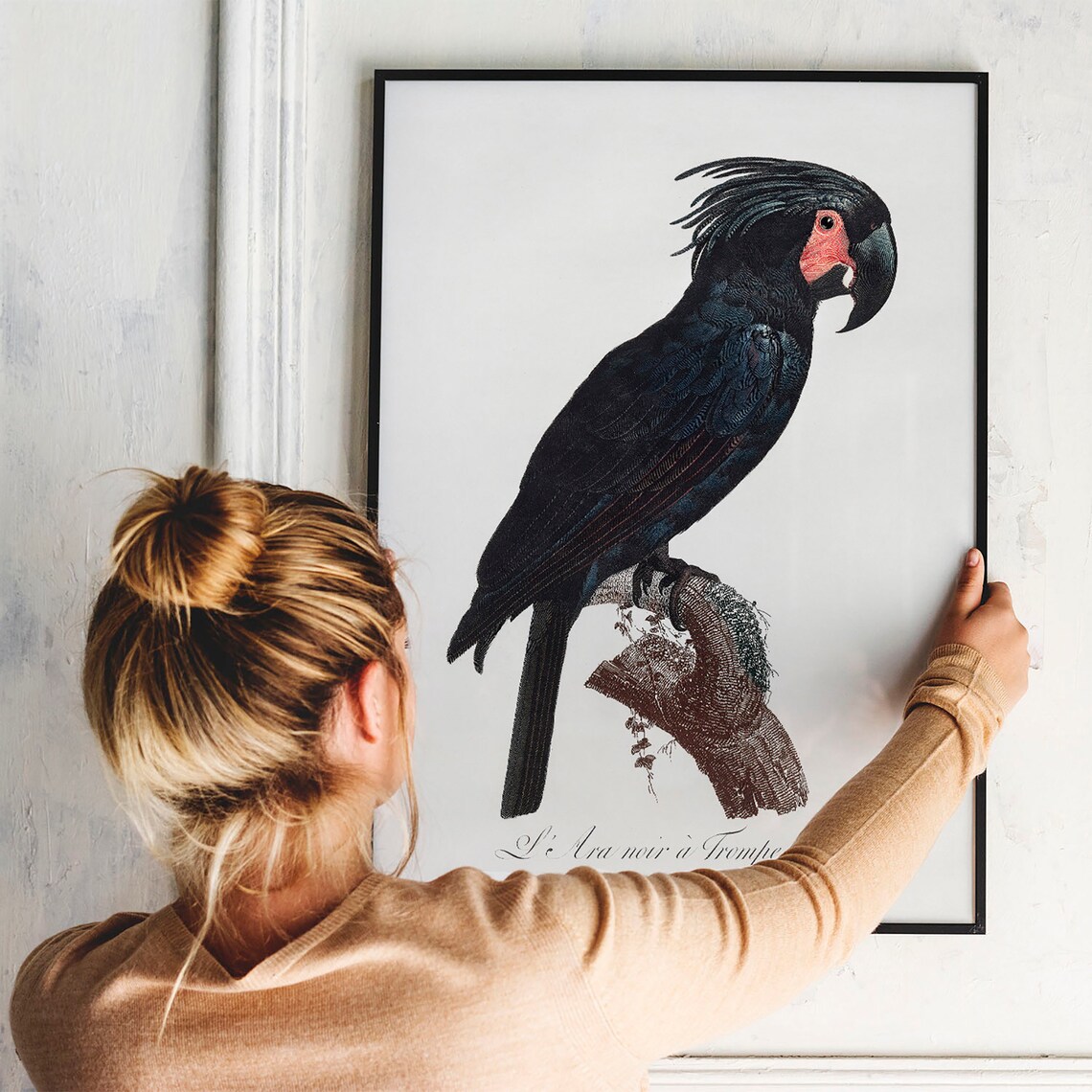 Palm Cockatoo Parrot Vintage Drawing Art Print - Image 3