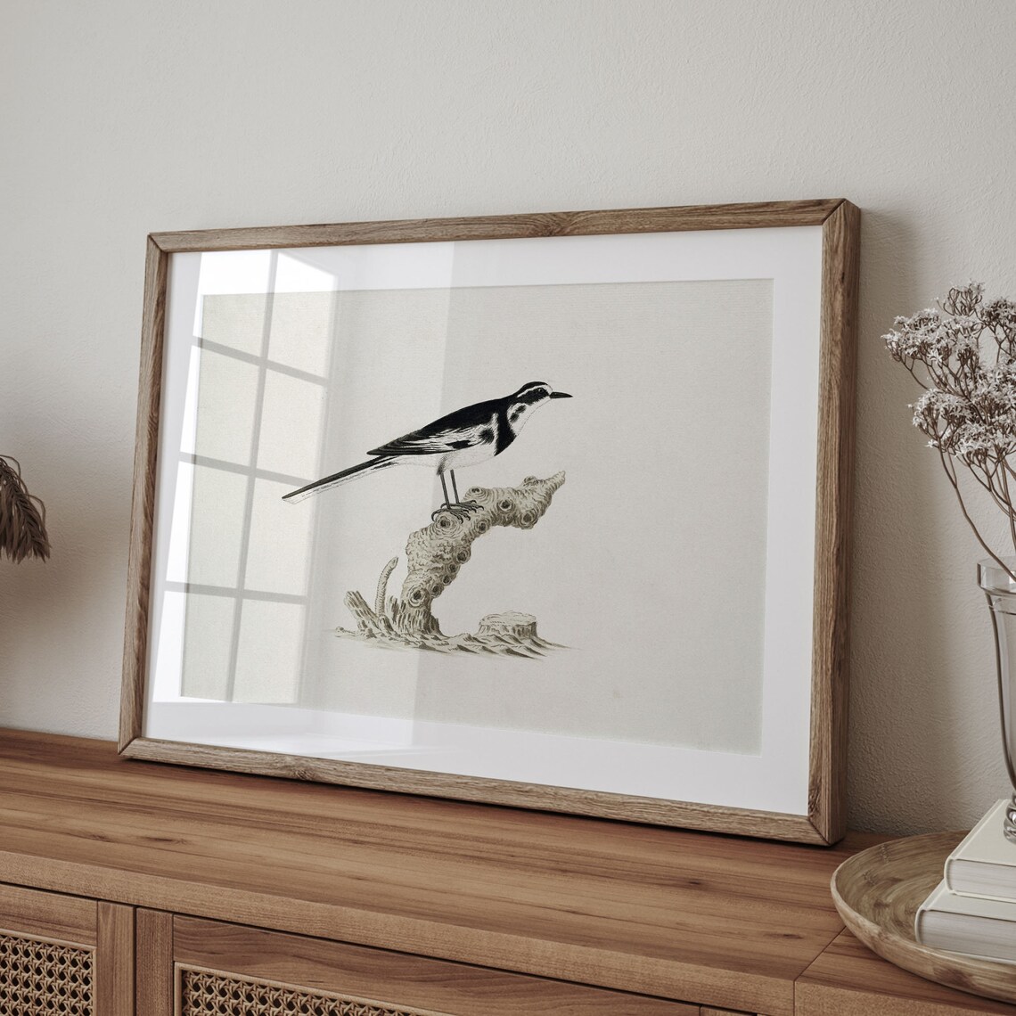 White Wagtail Bird on a Branch Antique Natural History Poster - Image 4