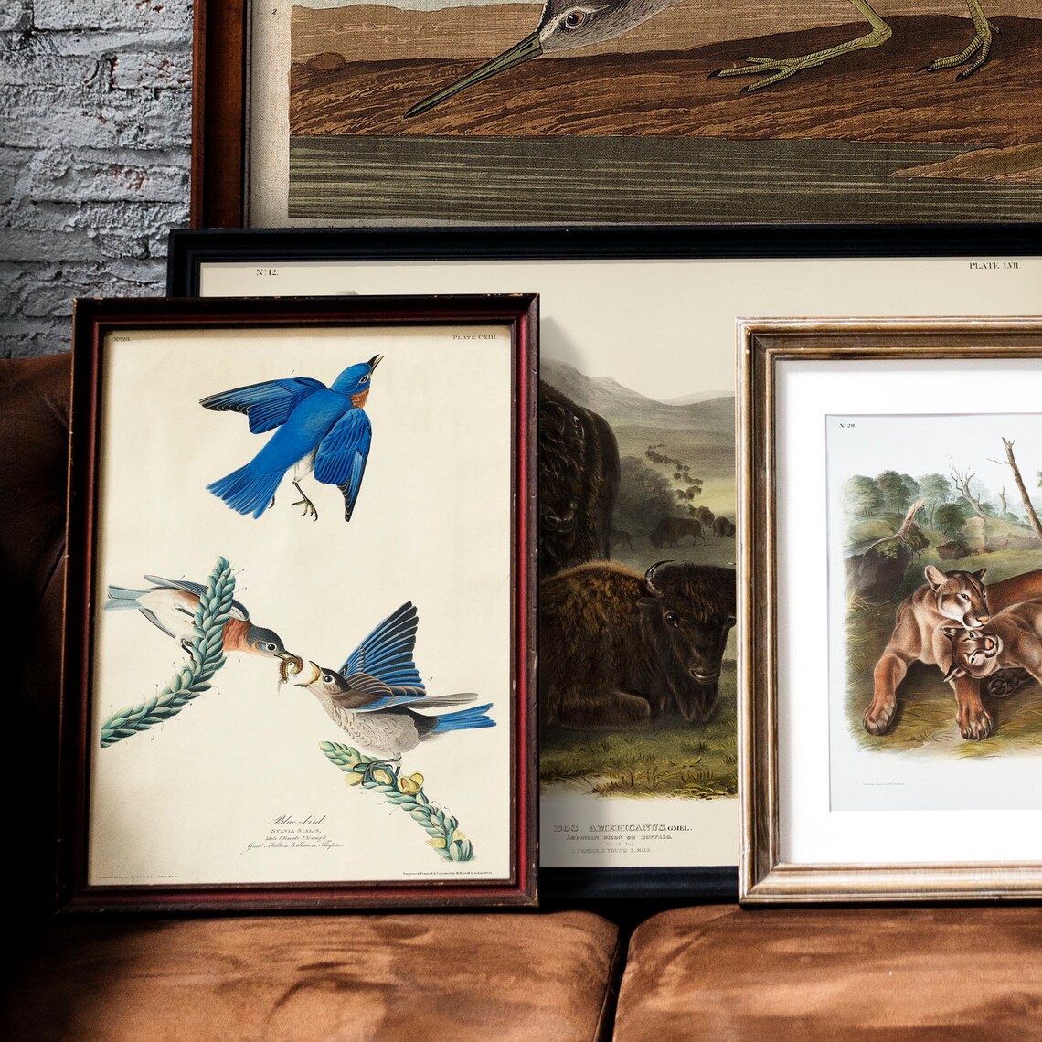 Blue Bird Antique Bird Painting Vintage Art Print - Image 2
