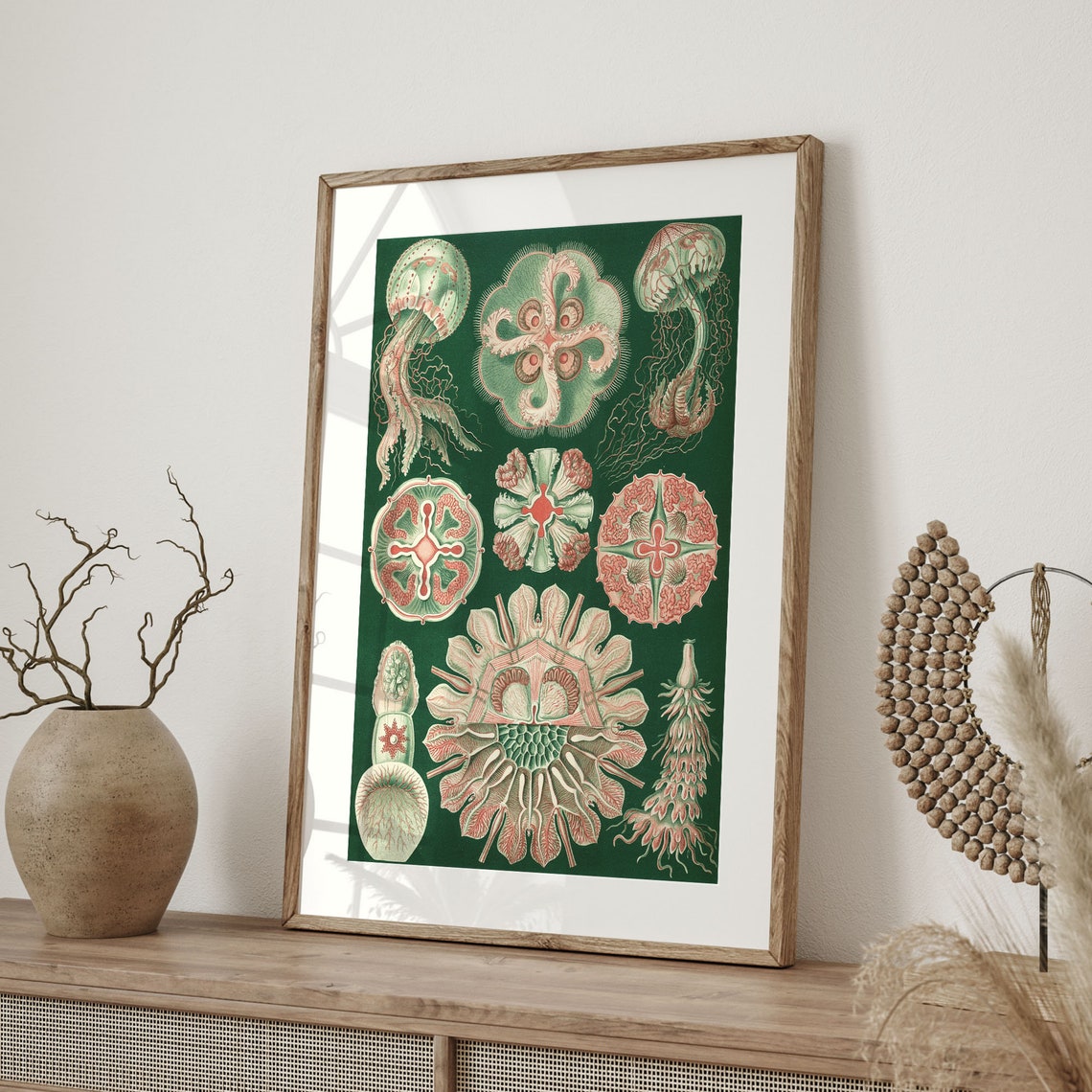 Haeckel Discomedusae Jellyfish Vintage Marine Biology Poster - Image 4