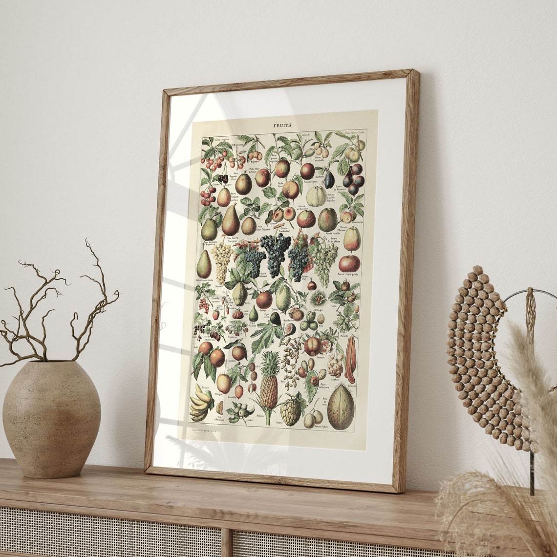 Adolphe Millot 1909 Fruits Botanical Chart Vintage Kitchen Poster - Image 4
