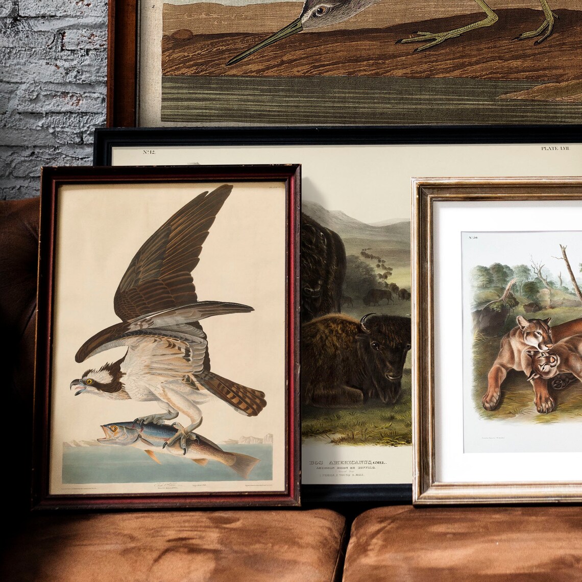 Fish Hawk Antique Bird Painting Vintage Poster - Image 2