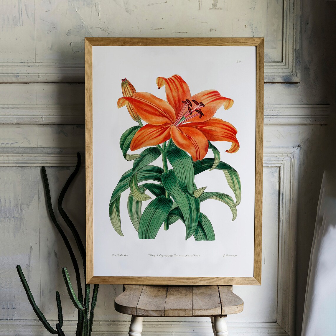 Orange Lily Vintage Botanical Poster Print - Image 2