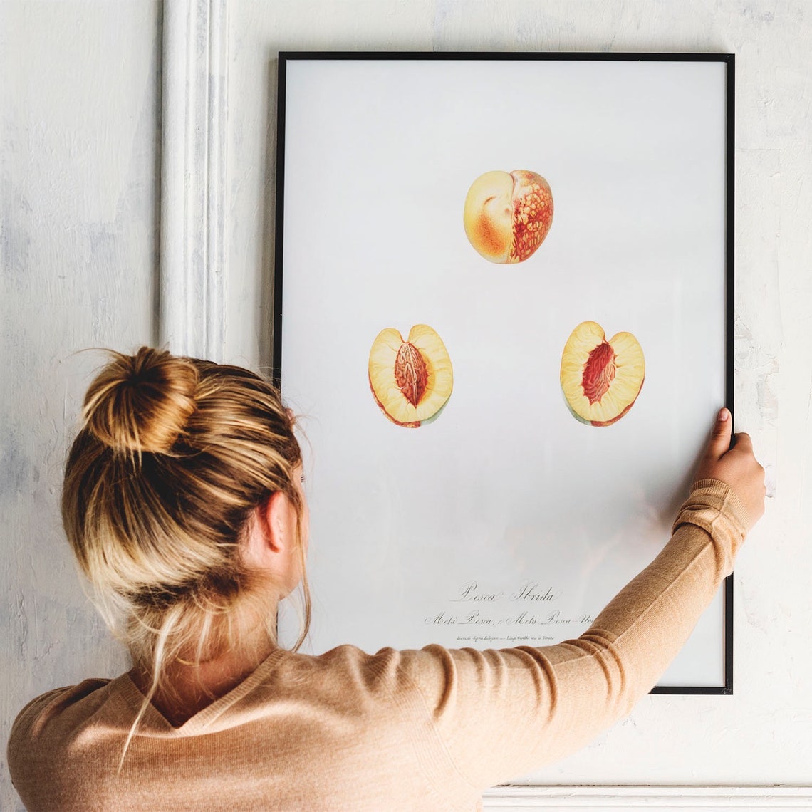 Nectarine Antique Print Illustration Kitchen Poster Nectarines Drawing Gift For Mom Kitchen Antique Fruit Print Prints For Kitchen B38 - Image 4