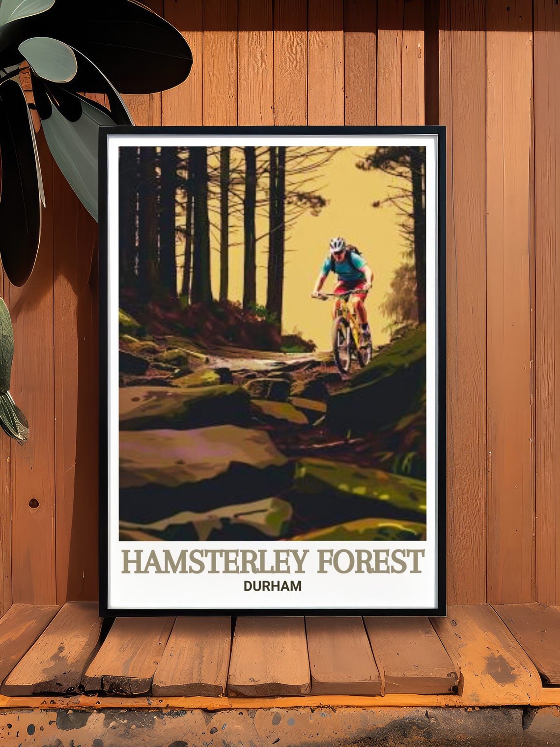 Hamsterley Forest Durham Mountain Biker on Rocky Trail Poster - Image 3