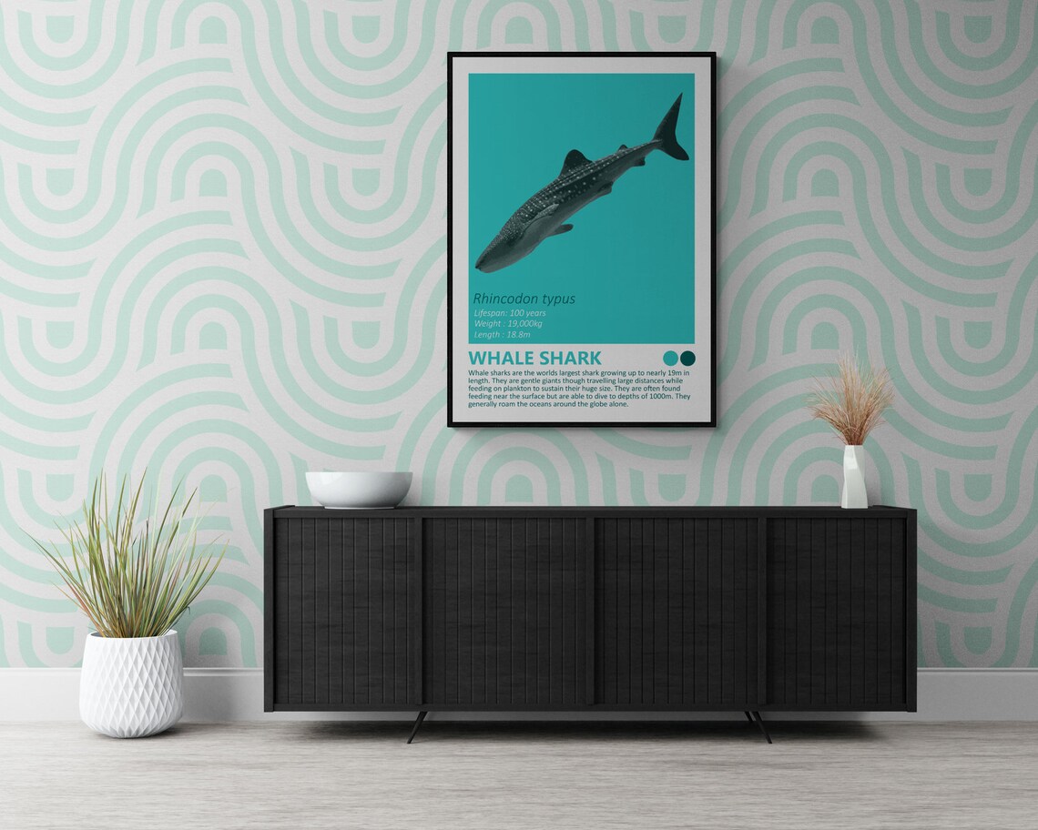 Whale Shark Rhincodon Typus Gentle Giant Educational Ocean Wall Art - Image 2
