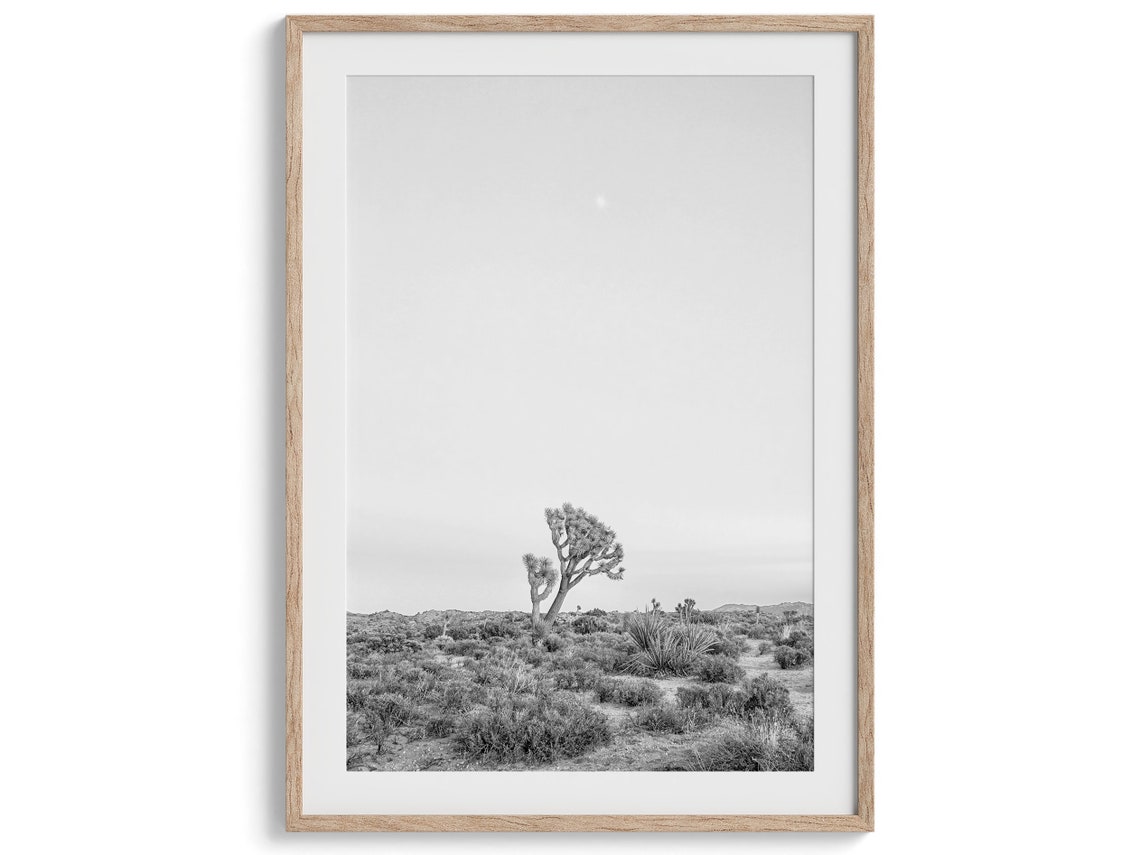 Joshua Tree National Park Desert Black White Minimal Landscape Poster