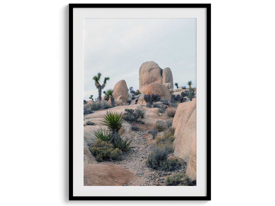 Joshua Tree Park Desert Art Print, California - Image 2