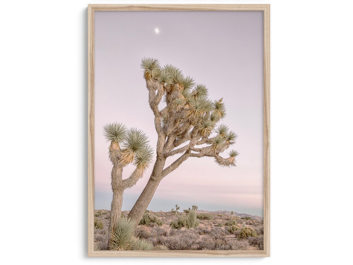 Joshua Tree Pink Sky Sunset, California Travel Poster - Image 2