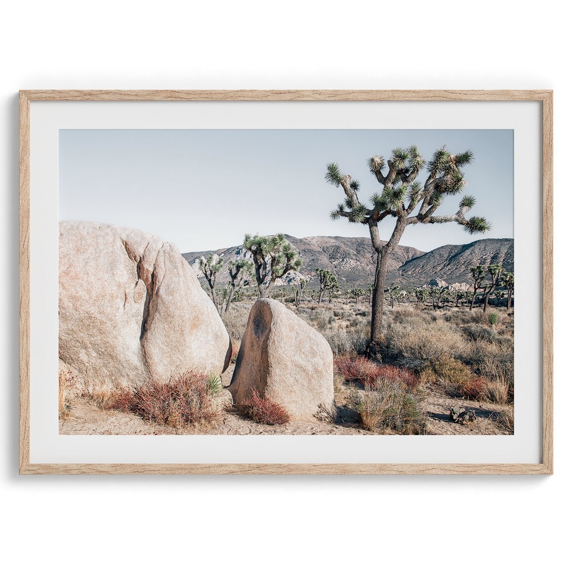 Joshua Tree Retro Travel Poster, California Desert