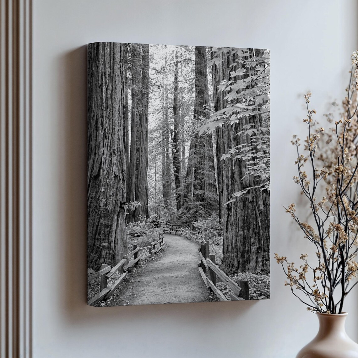 Redwood Pathway Black and White Art Print, California - Image 4
