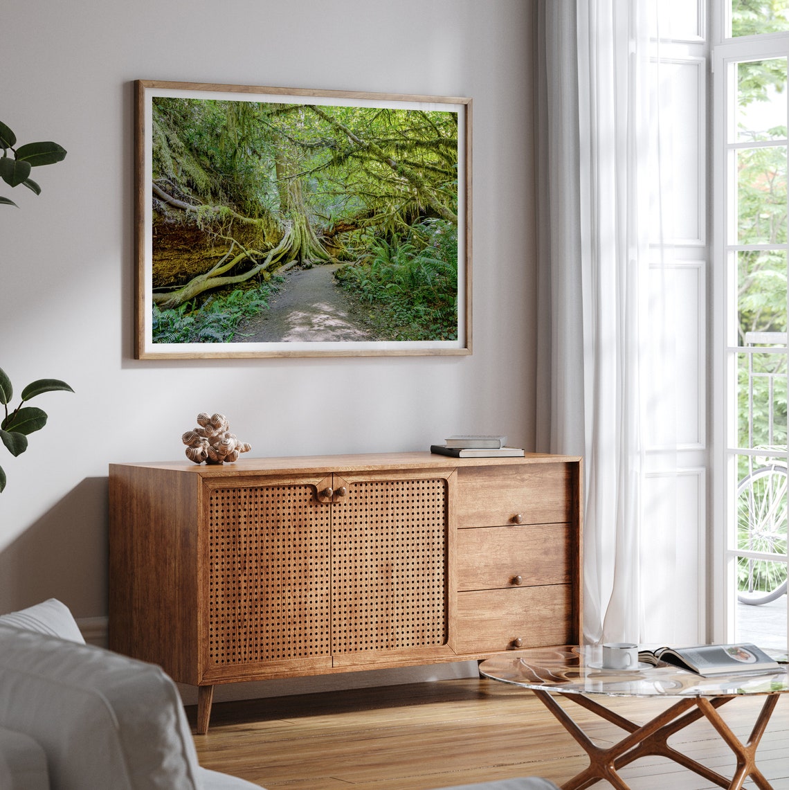 Redwood Forest Moss Covered Fallen Trees Fern Path Nature Walk Poster - Image 5