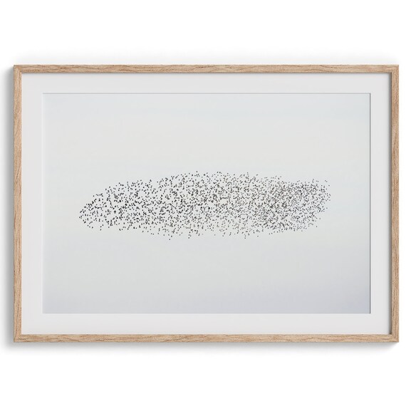 Starling Murmuration Minimalist Wildlife Art Print